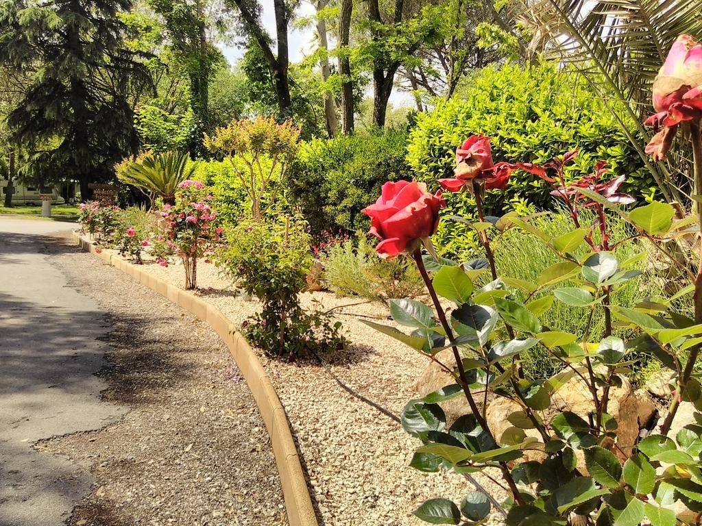 Camping Le Fief D'أندوز المظهر الخارجي الصورة